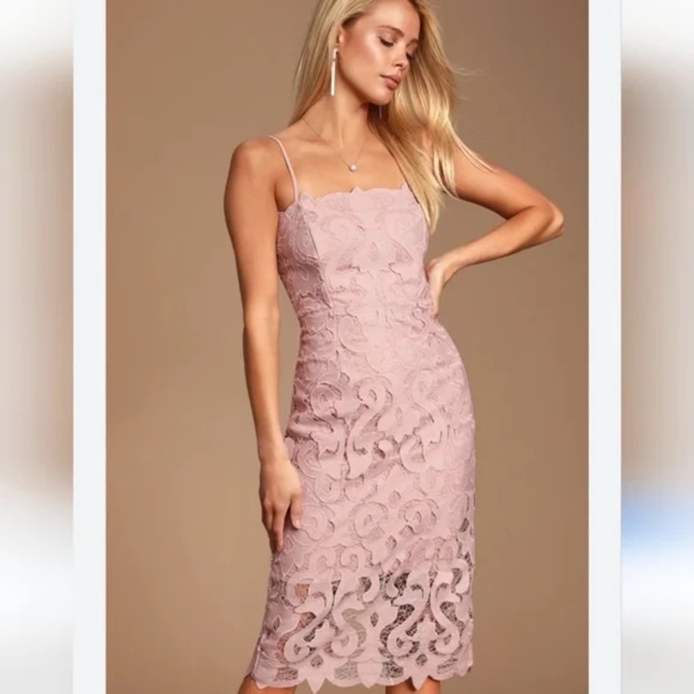 Bardot pink rose midi lace dress, size 10/L (NWT)